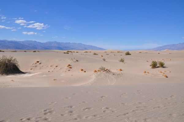 Death_Valley_(260).jpg