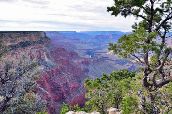 Gran_Canyon_(117).jpg