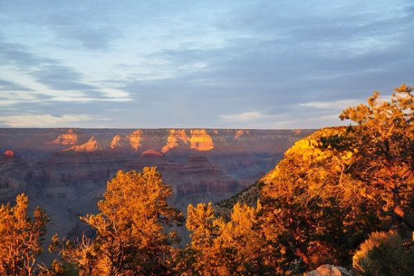 Gran_Canyon_(155).jpg