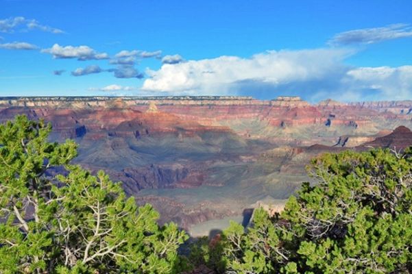 Gran_Canyon_(78).jpg