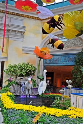 Las_Vegas_(208).JPG
