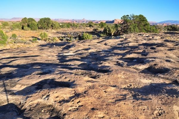 Natural_Bridges___Canyonlands_(196).jpg