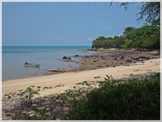 S4192674~0.JPG