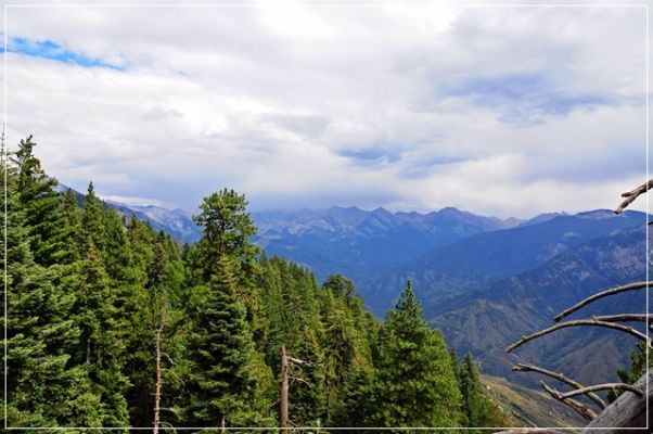 Sequoia_und_Kings_Canyon_(162).JPG