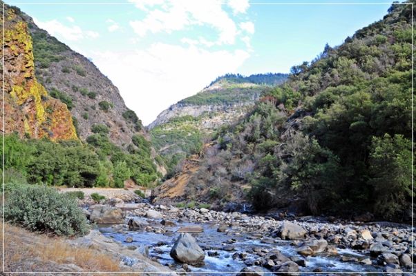 Sequoia_und_Kings_Canyon_(347).JPG