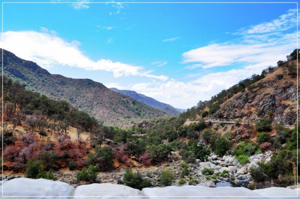 Sequoia_und_Kings_Canyon_(36).JPG