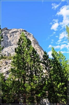 Sequoia_und_Kings_Canyon_(376).JPG