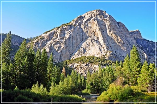 Sequoia_und_Kings_Canyon_(390).JPG