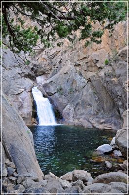 Sequoia_und_Kings_Canyon_(423).JPG