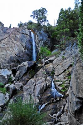 Sequoia_und_Kings_Canyon_(439).JPG