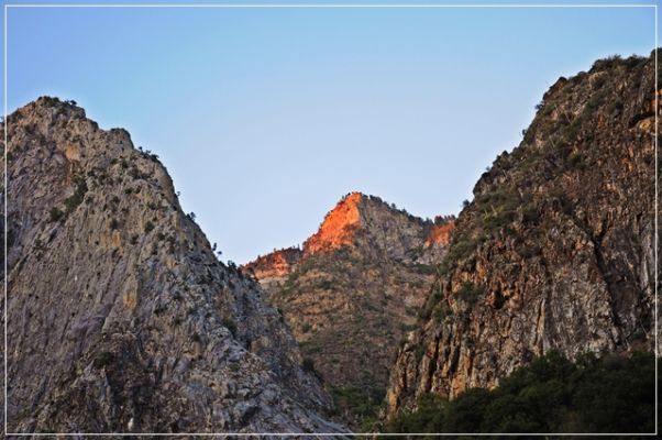 Sequoia_und_Kings_Canyon_(467).JPG