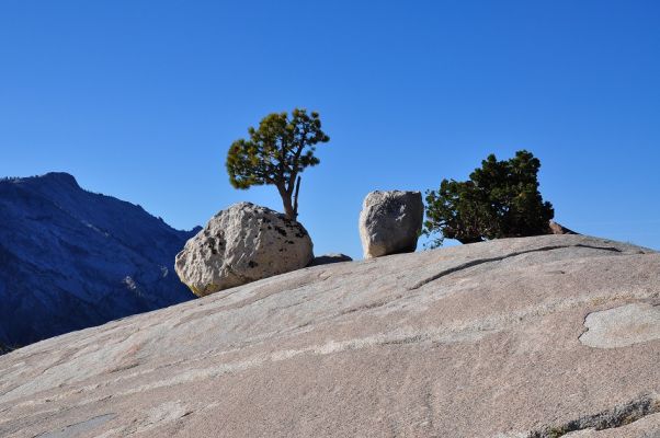 Tioga Pass
