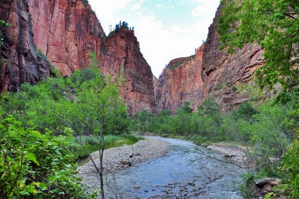 Zion_(103).jpg