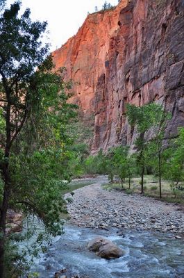 Zion_(123).jpg