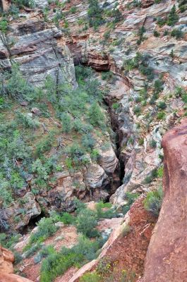 Zion_(37)~0.jpg
