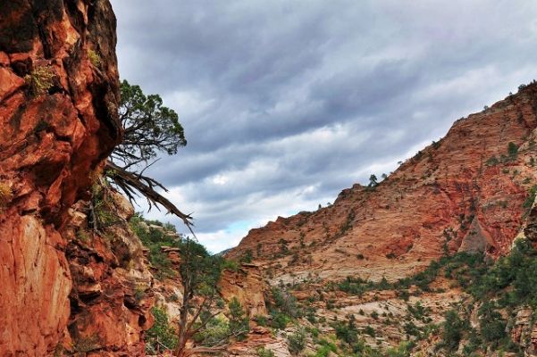 Zion_(47).jpg