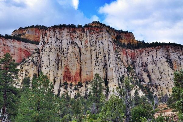 Zion_(8).jpg