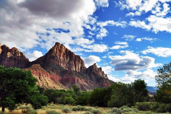 Zion_(89).jpg
