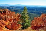 Bryce_Canyon_(172).jpg
