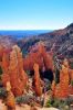 Bryce_Canyon_(282).jpg