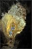 Carlsbad_Caverns_(41).JPG