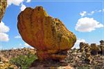 Chiricahua_(161).JPG