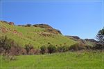 Chiricahua_(24).JPG