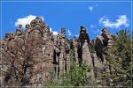 Chiricahua_(72).JPG