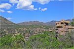 Chiricahua_(96).JPG