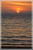 DSC_5330.JPG