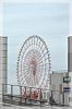 DSC_6179.JPG