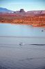 Lake_Powell_(148).jpg