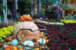 Las_Vegas_(212).jpg