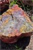 Petrified_Forest_(27).JPG