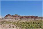 Petrified_Forest_(36).JPG