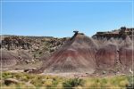 Petrified_Forest_(38).JPG
