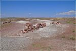 Petrified_Forest_(59).JPG
