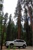 Sequoia_und_Kings_Canyon_(119).JPG