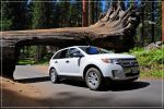 Sequoia_und_Kings_Canyon_(132).JPG