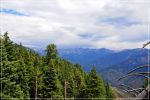 Sequoia_und_Kings_Canyon_(162).JPG