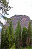 Sequoia_und_Kings_Canyon_(182).JPG