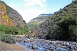 Sequoia_und_Kings_Canyon_(347).JPG