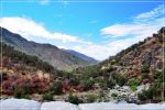 Sequoia_und_Kings_Canyon_(36).JPG