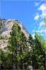 Sequoia_und_Kings_Canyon_(376).JPG