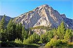 Sequoia_und_Kings_Canyon_(390).JPG