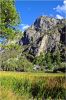 Sequoia_und_Kings_Canyon_(404).JPG