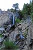 Sequoia_und_Kings_Canyon_(439).JPG