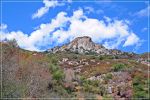 Sequoia_und_Kings_Canyon_(48).JPG