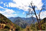 Sequoia_und_Kings_Canyon_(77).JPG