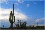 Tucson_(133).JPG
